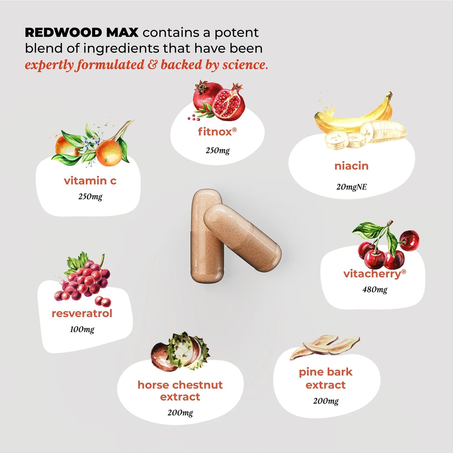 UMZU Redwood Max Nitric Oxide Booster, 1-Month Supply – Advanced Nitric Oxide Supplement with Fitnox Blend, Pine Bark, Resveratrol & Tart Cherry – Promotes Healthy Circulation, Energy and Recovery