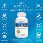Gut Alive - All Natural Support to Fight IBS, Heartburn, Acid Indigestion, Acid Reflux, Bloating & Gas. Unique Formulation (60 Count)