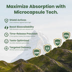 Shilajit for Men Women, Shilajit with Naturally Fulvic Acid & L-Arginine, Himalayan Shilajits for Extra Power, Stamina & Immune Support, Non-GMO, Made in USA, 60 Capsules, 1,300mg Per Serving