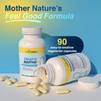 HEAL-N-SOOTHE Joint Support Supplements - Proteolytic Enzymes Like Bromelain & Papain, with Boswellia, Turmeric, & Ginger - Promotes Protein Digestive Function & Body Defense Wellness - 90 Count