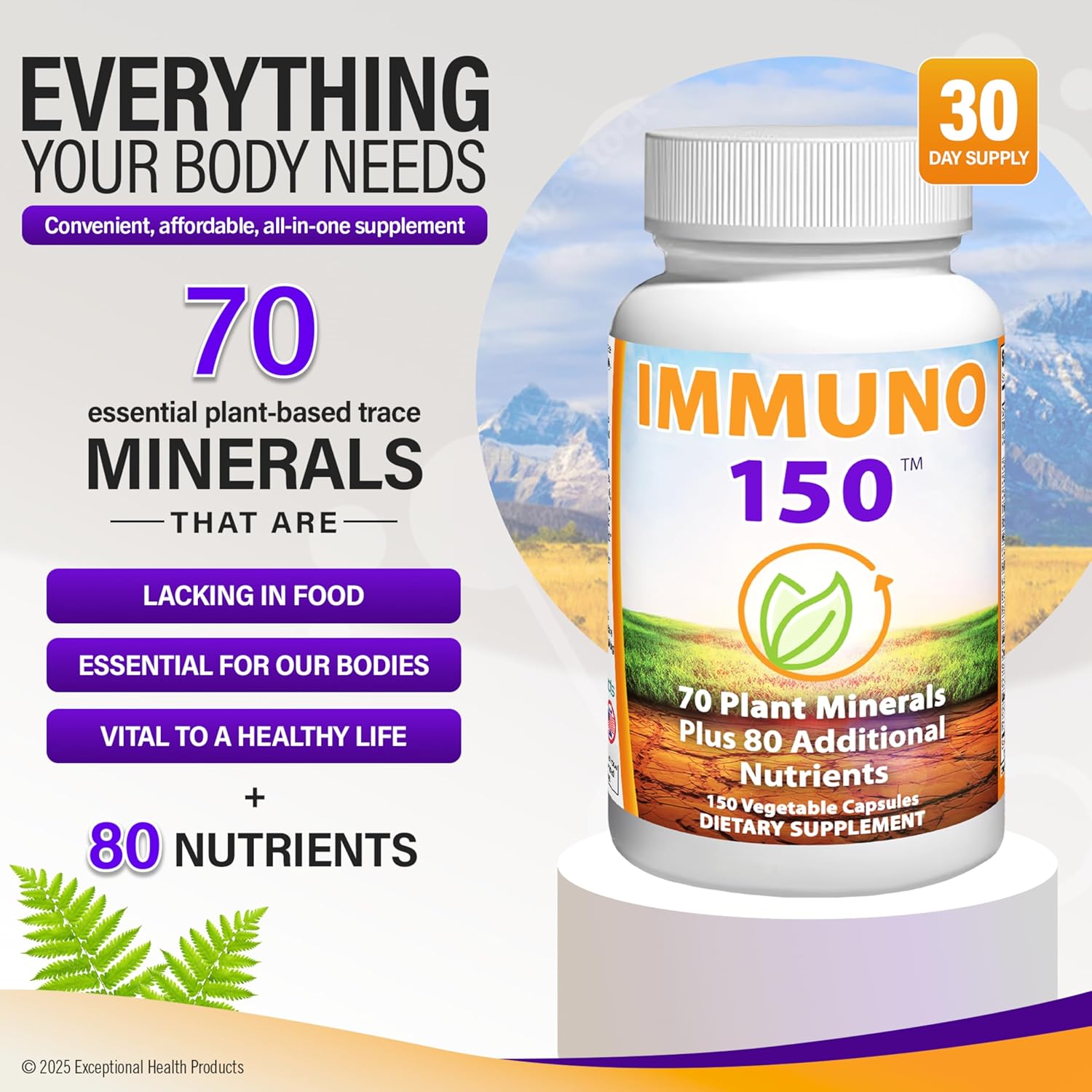 Immuno 150 – Advanced Multivitamin & Immune Support | 150 Capsules for Daily Health & Vitality